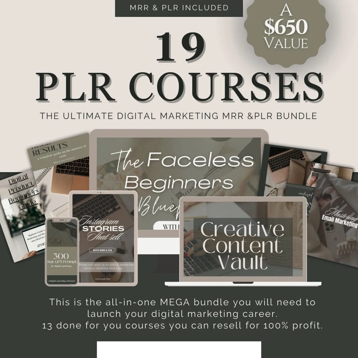 DFY PLR digital marketing bundle with MRR and PLR rights Digital marketing courses for passive income with resell rights Ready-to-sell PLR digital products for online marketing Editable digital marketing guides for resell PLR digital marketing courses resellable digital products Canva editable courses bundle